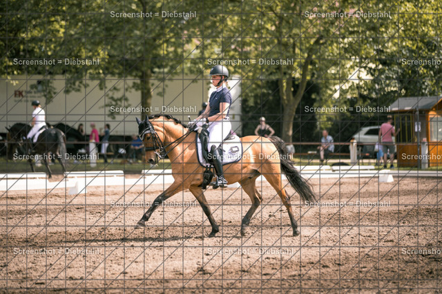 _W6A4308 | ronjaprokoschfotografie - Realisiert mit Pictrs.com