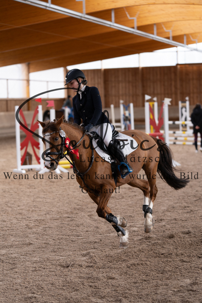 A7507627 | Pferdefotograf