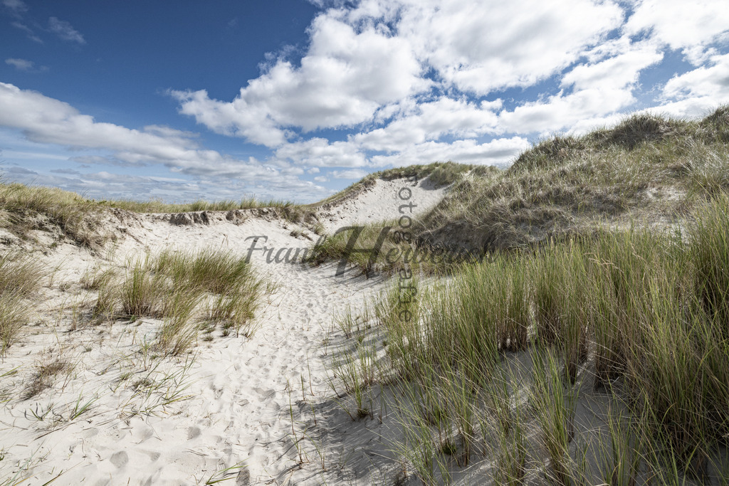 St. Peter Ording Dünenlandschaft | Frank Herberich Fotografie, Frank Herberich, Fotografie, Hochzeit, Portrait, St. Peter Ording, Ording, Westerhever, Nordsee, Frank Fotografie, Hardheim,  Odenwald,Walldürn, Band,Eventfotografie - Realisiert mit Pictrs.com