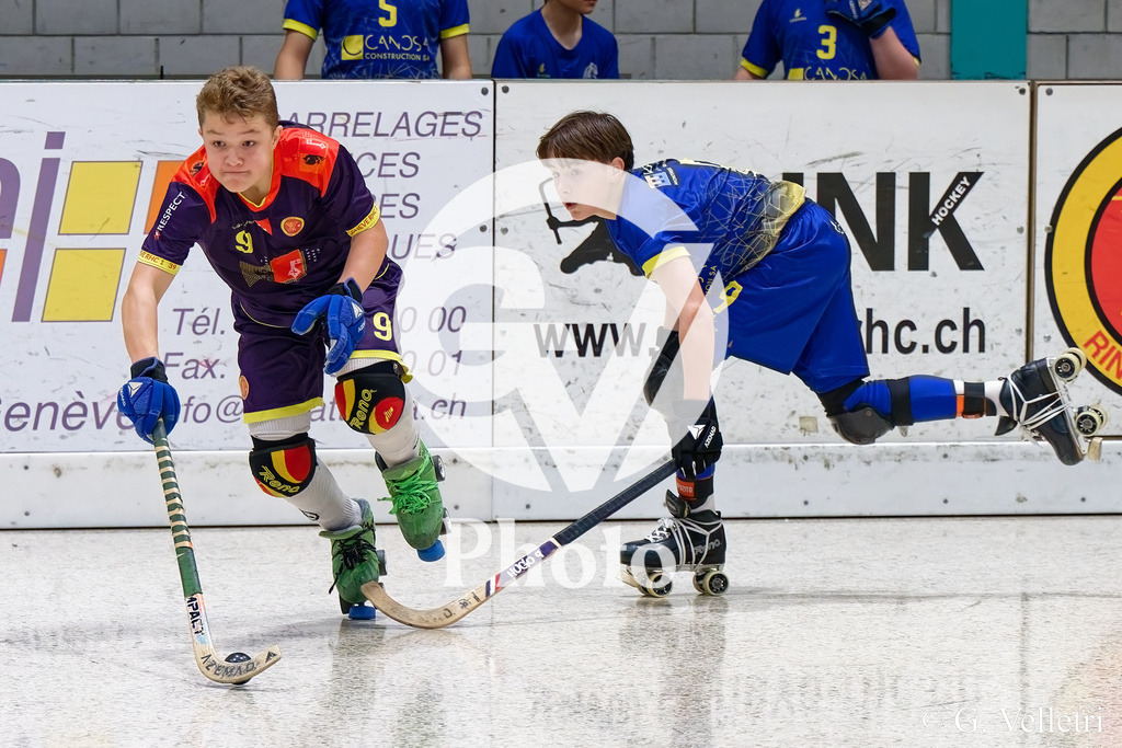 DZ8_2704 | Velletri Photo