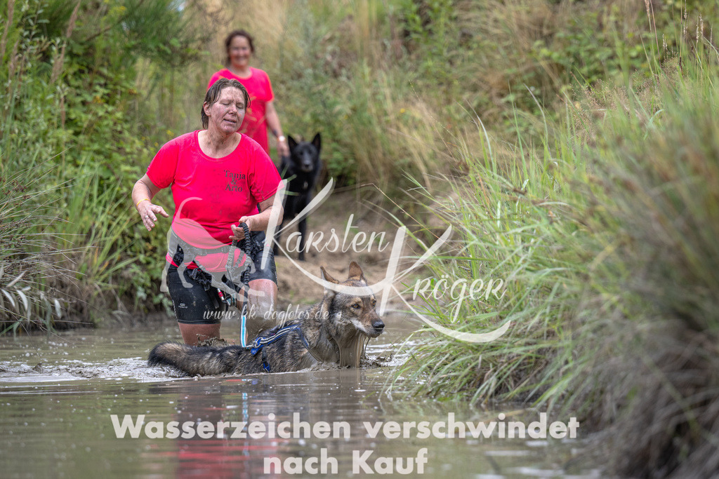 1228_ZZ99160 | kk-dogfotos