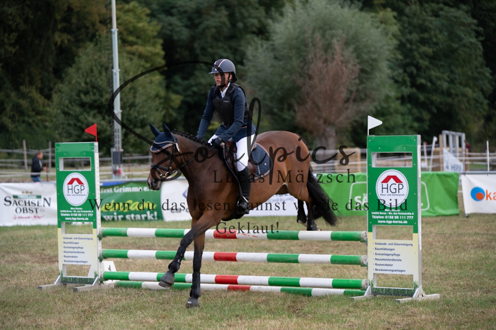 A7V07871 | Pferdefotograf