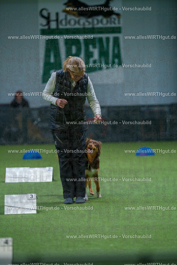 7R501330 | Professionelle Tierfotografie in Mönchengladbach von Daniel Wirth (allesWIRTHgut). Liebevolle & natürliche Bilder von Hunden & Katzen für unvergessliche Erinnerungen.