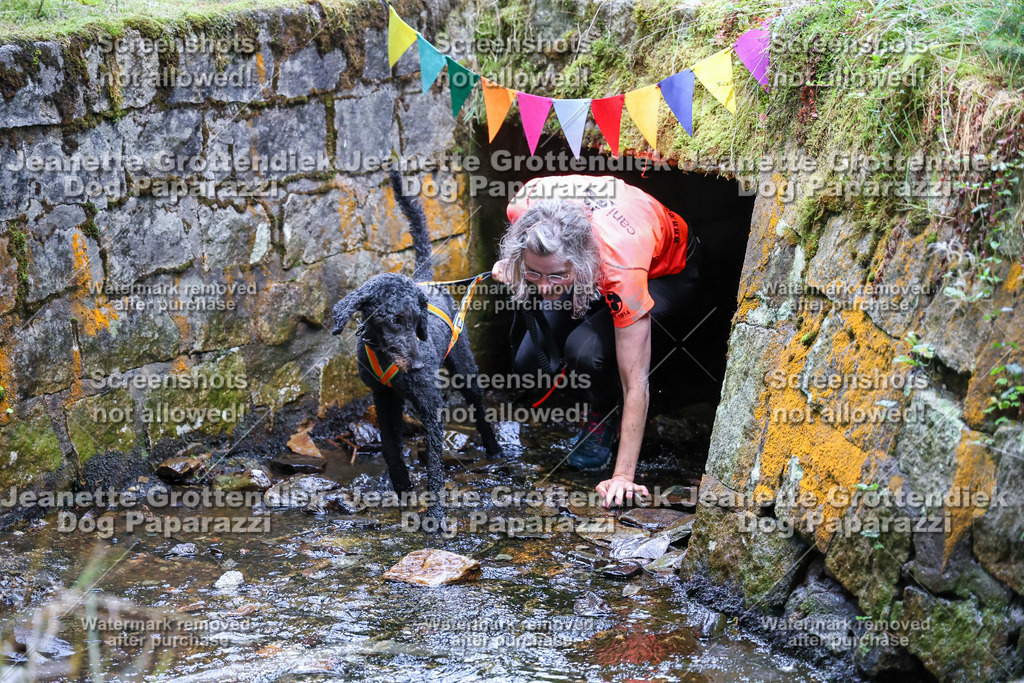 Dog Paparazzi -  TH 26-540 | Dog Paparazzi Jeanette Grottendiek Fotografie & Videografie - Realisiert mit Pictrs.com