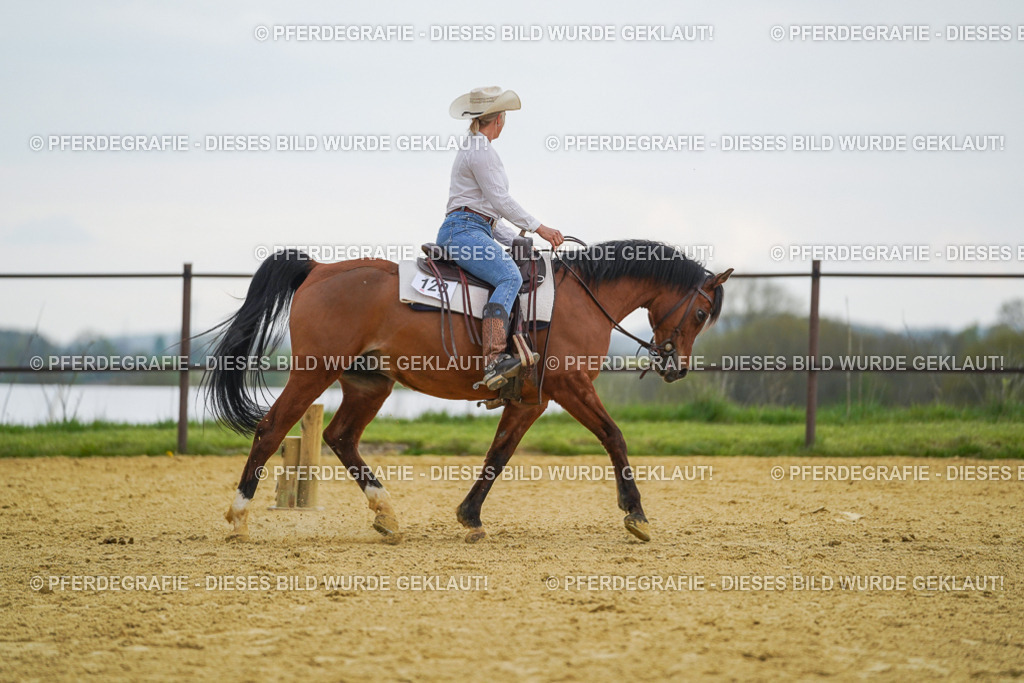 DSC08158 | Pferdegrafie