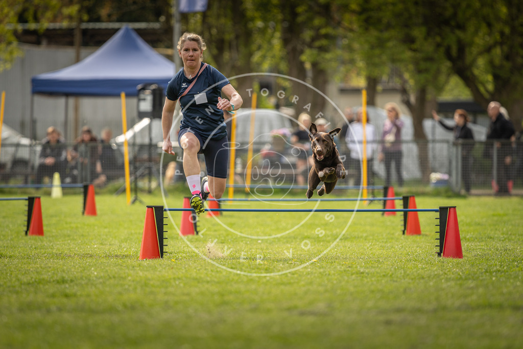 Pfotenfotografie_DV3A6042 | Hundefotografie, Tierfotograf, Pfotenfotografie, Fotoshooting Hund, Hunde Portrait, Hundesport, Hundeportraits, Heideshooting, Hunde, Sportfotograf, Hundefotograf, Turnierhundsport, THS,  - Realisiert mit Pictrs.com