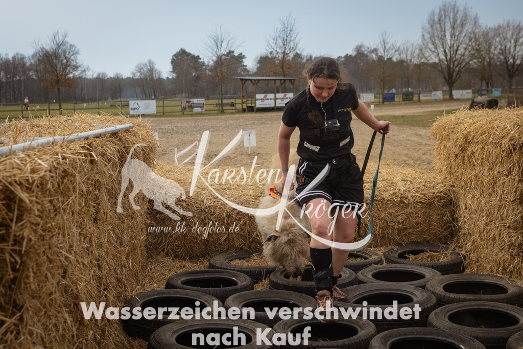 1156_ZZ95606 | kk-dogfotos