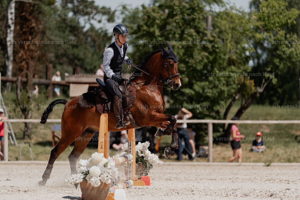 WE_SP_Stoib_343_PI2025_1782 | Pferd International München 2025