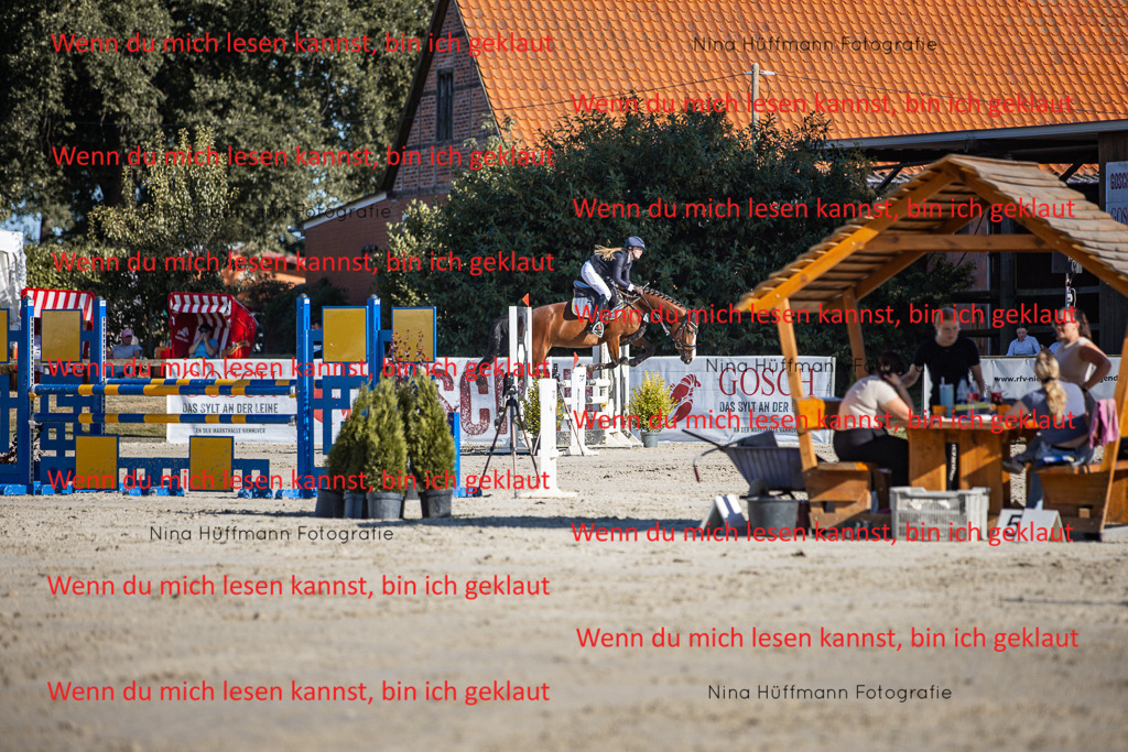 BK1A7494 | Turnierbilder Turnierfotos Nina Hüffmann Turnierfotografie Pferdefotografie Tierzeichnung Haustierzeichnung Pferdezeichnung Hundezeichnung Videograf  - Realisiert mit Pictrs.com