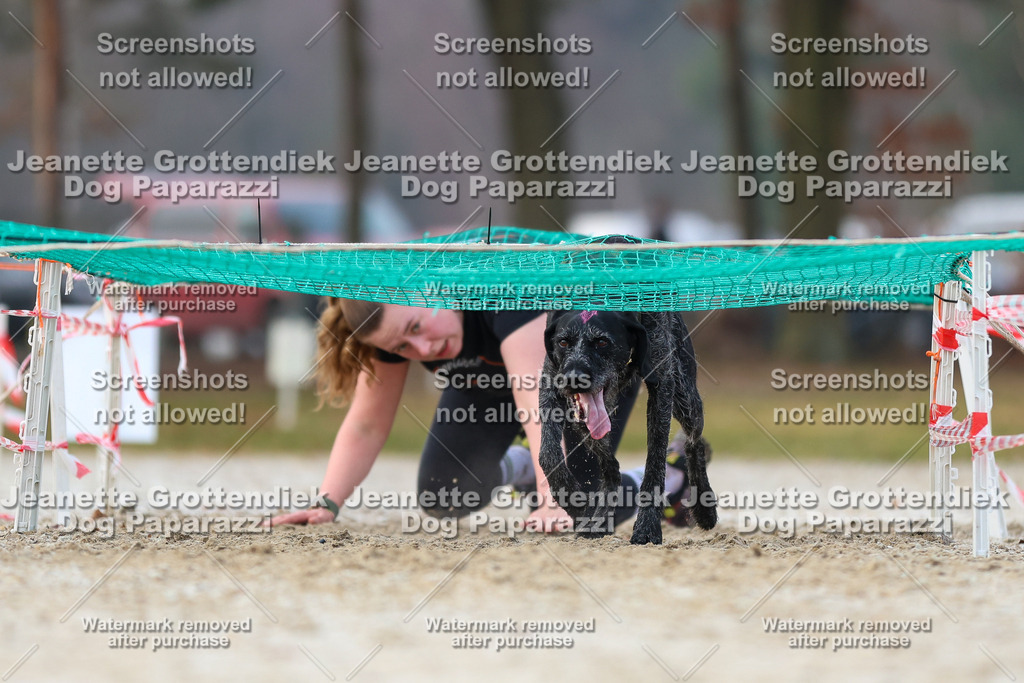 Dog Paparazzi - Strongdog North Mrz26-3694 | Dog Paparazzi Jeanette Grottendiek Fotografie & Videografie - Realisiert mit Pictrs.com