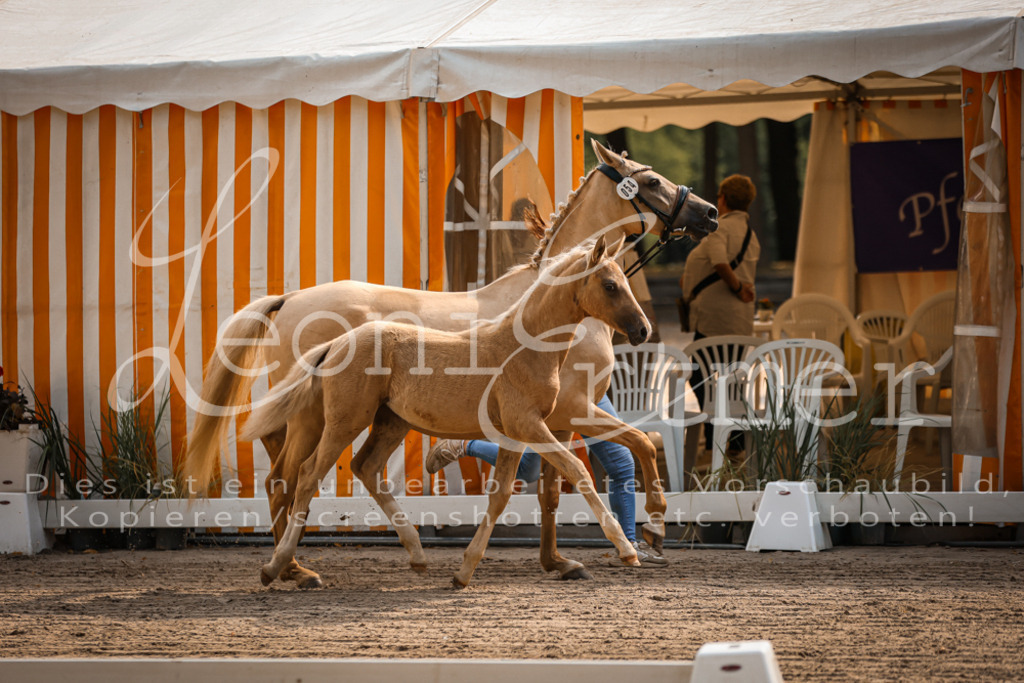 10.DoRP00022 | Leoni Ertmer Photography - Realisiert mit Pictrs.com