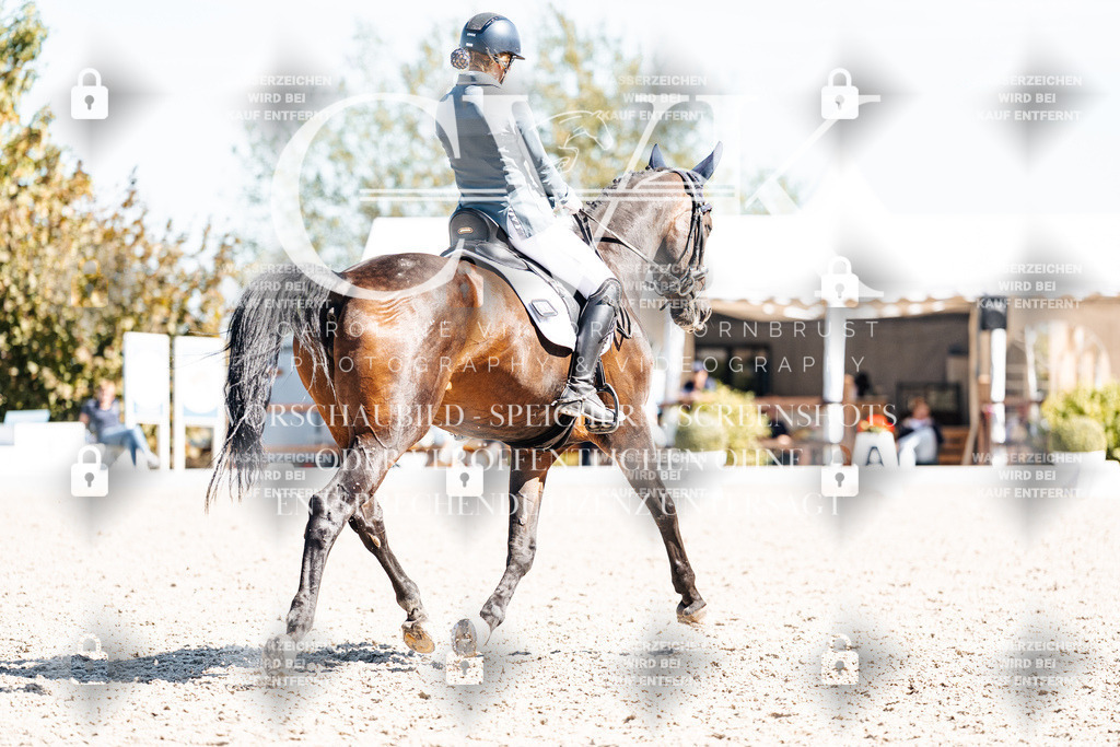 CK909799 | Turnierfotografie Pferdefotografie Trier Rheinland-Pfalz Pferdesport Reitsport Tierfotografie Sportfotografie Pferdevideo Pferdevideografie Equestrianvideography equestrianphotography  - Realisiert mit Pictrs.com