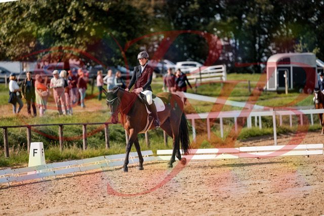 2026_10_03_Siefer-Hof_122627_Z63_46696925 | Professionelle Reitsport-, Turnier- und Eventfotografie von Robert Broda. Galerien mit ausgewählten und bearbeiteten Bildern direkt online ansehen und bestellen.