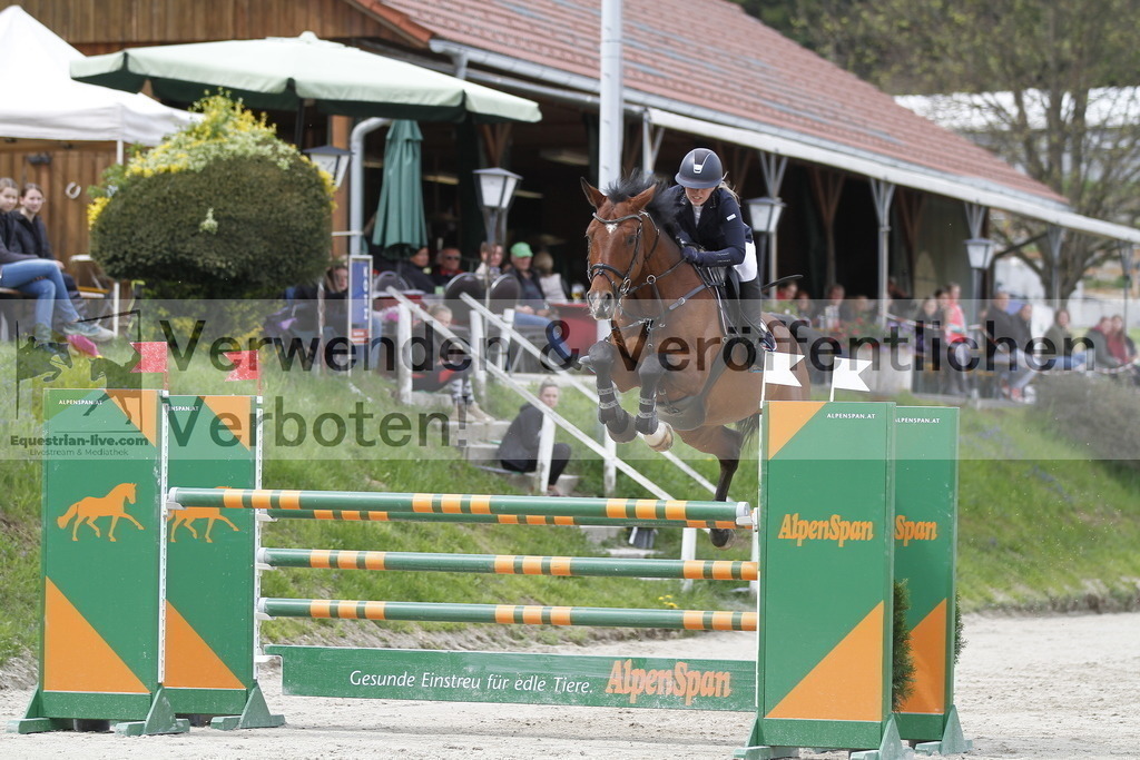 _MG_4232 | equestrian-live-com