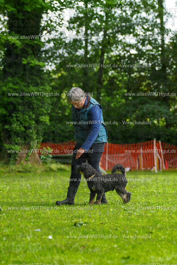 @allesWIRTHgut_Tierfotografie - www.allesWIRTHgut.de - 092723-7R507129 | Professionelle Tierfotografie in Mönchengladbach von Daniel Wirth (allesWIRTHgut). Liebevolle & natürliche Bilder von Hunden & Katzen für unvergessliche Erinnerungen.