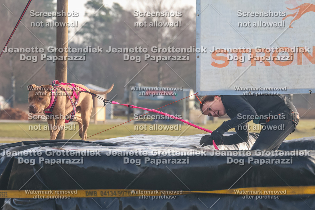 Dog Paparazzi - SD North Sa 830-900-140 | Dog Paparazzi Jeanette Grottendiek Fotografie & Videografie - Realisiert mit Pictrs.com