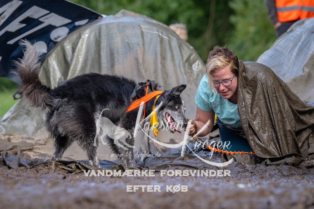 1716_ZZ91878 | kk-dogfotos