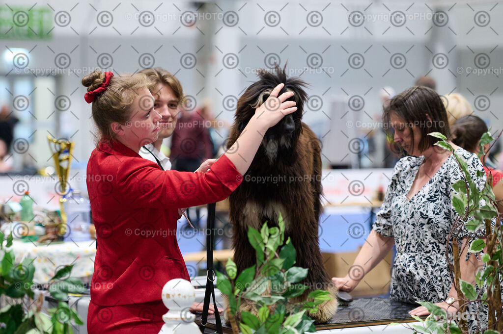202406_ÖKV-IHA-Tulln24_DSC_3210 | proPHOTO - Realisiert mit Pictrs.com