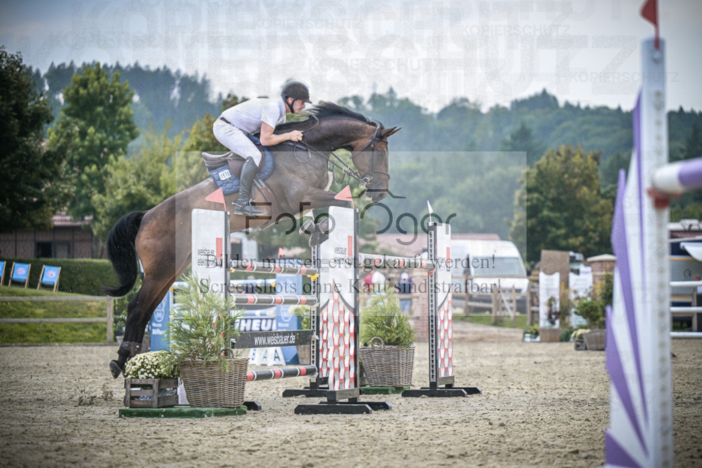 DOS_2802 | Entdecke hochwertige Reitturnierfotos von Foto Oger. Professionell, emotional und authentisch – jetzt Lieblingsmomente im Shop bestellen.Deutschlandweite Turnierfotografie. - Realisiert mit Pictrs.com
