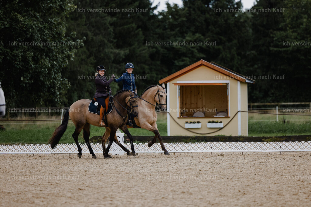 Katja7_FHC2025-25360 | working equitationturnier fotograf videograf stoibphotography marixx film working equitation deutschland reitsport turnierfotografie eventfotografie equestrian events