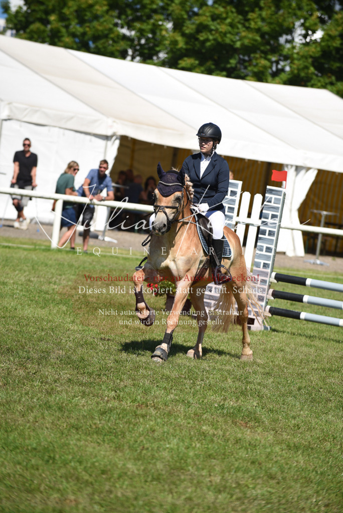 DSC_9503 | Pferde- und Turnierfotografie in Westsachsen. Pferdeportraits, Auftragszeichnungen und intuitive Kunst.