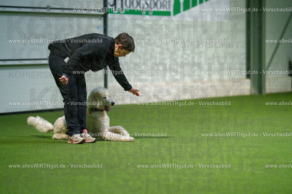 7R509927 | Professionelle Tierfotografie in Mönchengladbach von Daniel Wirth (allesWIRTHgut). Liebevolle & natürliche Bilder von Hunden & Katzen für unvergessliche Erinnerungen.