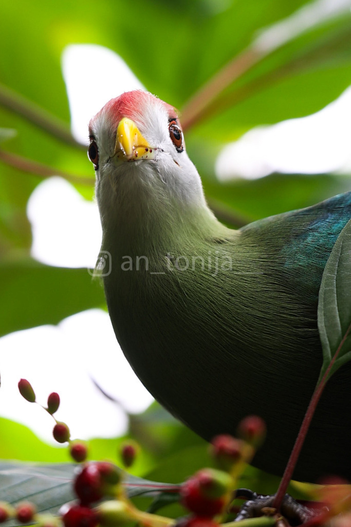 JB3A0767 | antonija-trupina - Realisiert mit Pictrs.com