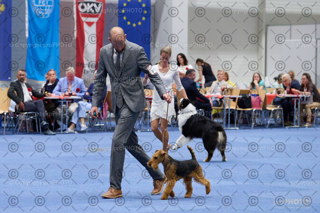 202406_ÖKV-IHA-Tulln24_DSC_3348 | proPHOTO - Realisiert mit Pictrs.com