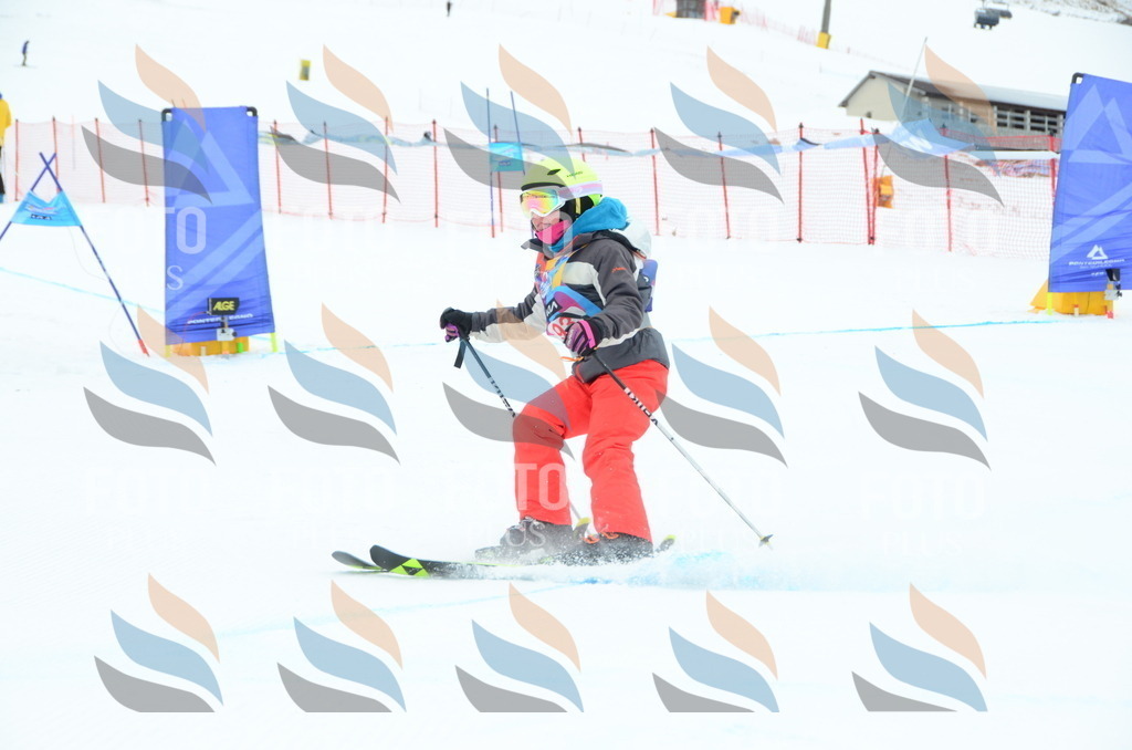 DSC_1179 | holidayphoto