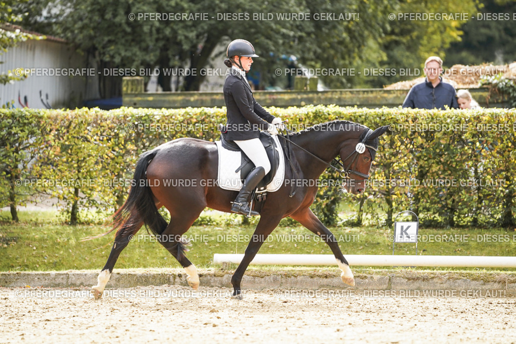 DSC00966 | Pferdegrafie