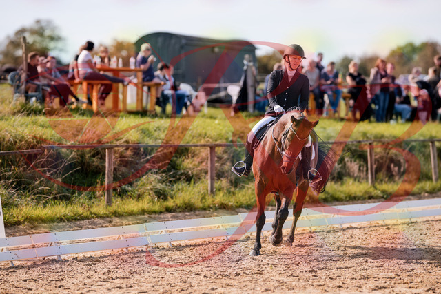 2026_10_03_Siefer-Hof_130722_Z81_58297970 | Professionelle Reitsport-, Turnier- und Eventfotografie von Robert Broda. Galerien mit ausgewählten und bearbeiteten Bildern direkt online ansehen und bestellen.