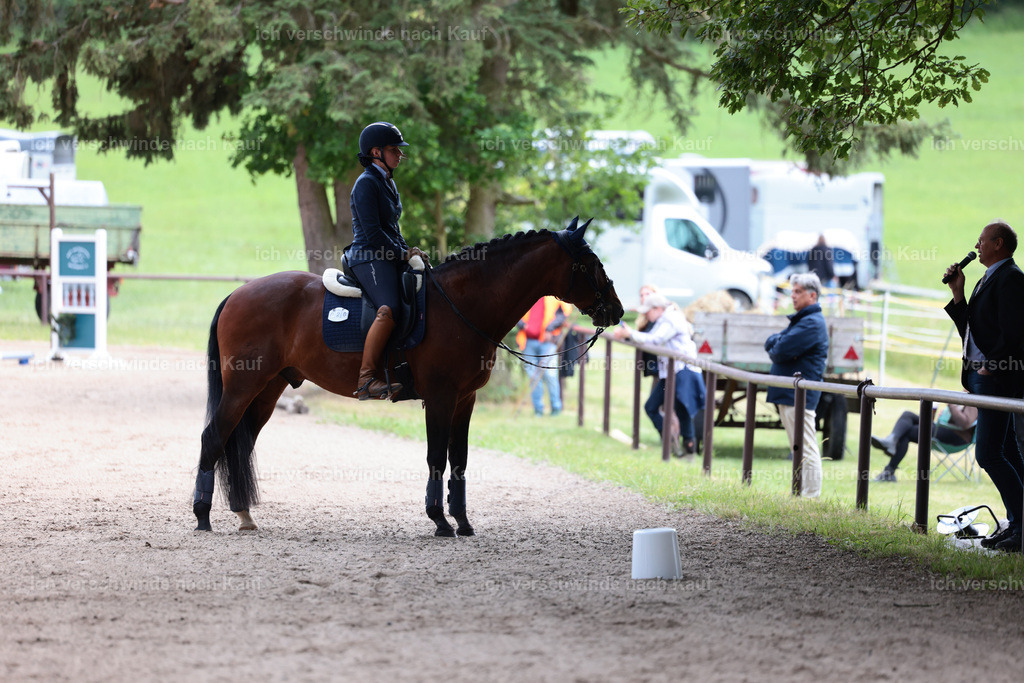 Masterclass_stoibphotography_C2_L6848.JPG | working equitationturnier fotograf videograf stoibphotography marixx film working equitation deutschland reitsport turnierfotografie eventfotografie equestrian events