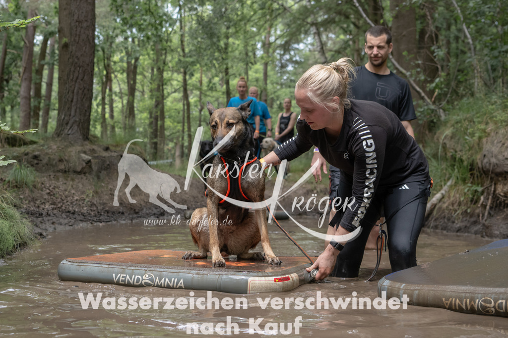 1330_ZZ94307 | kk-dogfotos