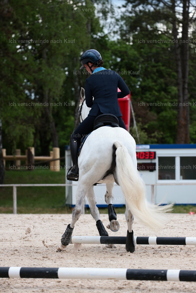 PI26_ST_StoibphotographyC2_L9027.JPG | working equitationturnier fotograf videograf stoibphotography marixx film working equitation deutschland reitsport turnierfotografie eventfotografie equestrian events