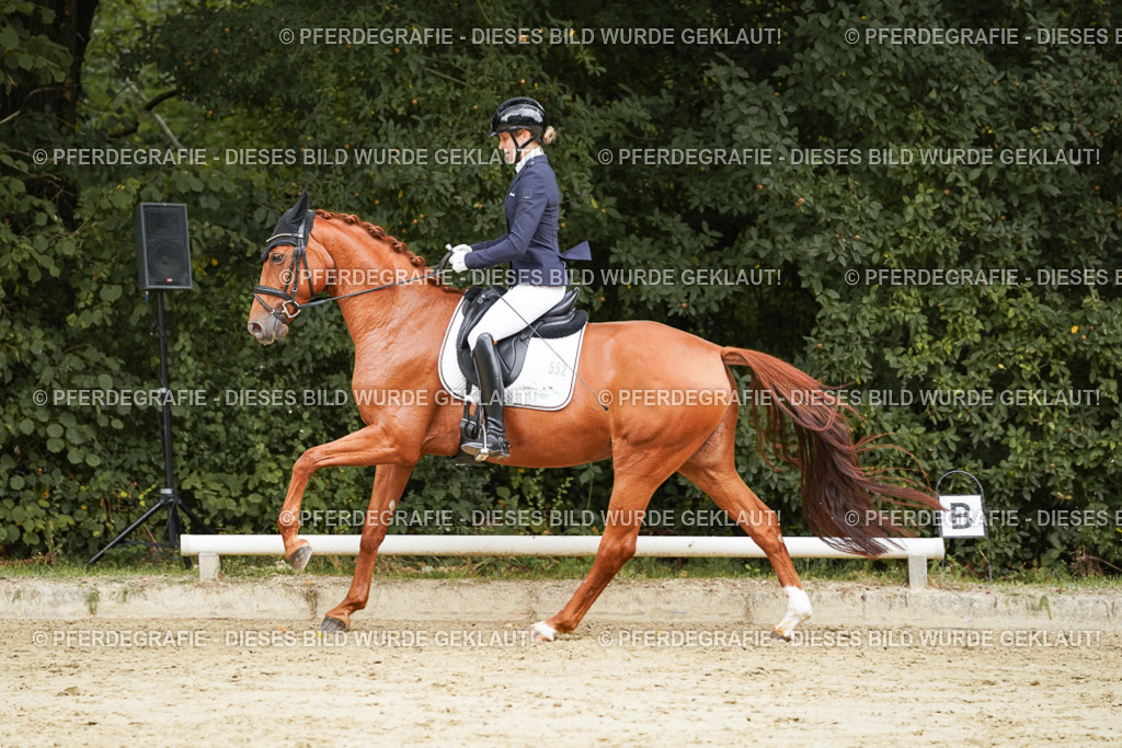 DSC00049 | Pferdegrafie