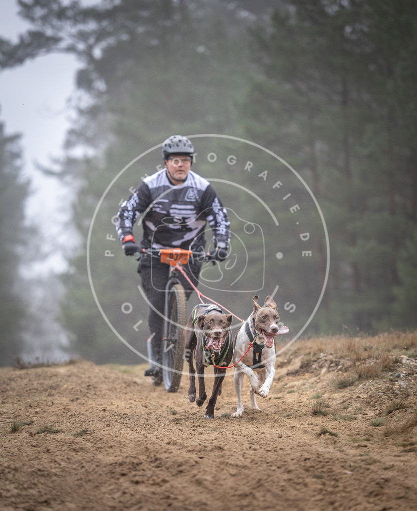 Pfotenfotografie_DV3A0846 | Hundefotografie, Tierfotograf, Pfotenfotografie, Fotoshooting Hund, Hunde Portrait, Hundesport, Hundeportraits, Heideshooting, Hunde, Sportfotograf, Hundefotograf, Turnierhundsport, THS,  - Realisiert mit Pictrs.com