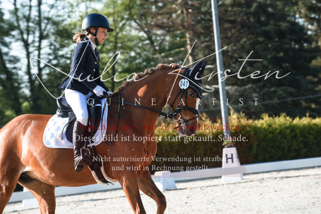 20230518_JK-Röhrsdorf-09-0251 | Pferde- und Turnierfotografie in Westsachsen. Pferdeportraits, Auftragszeichnungen und intuitive Kunst.