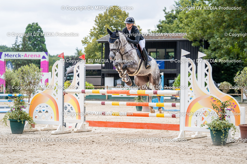 Hessische Tag 1-408 | dv-media-shop - Realisiert mit Pictrs.com