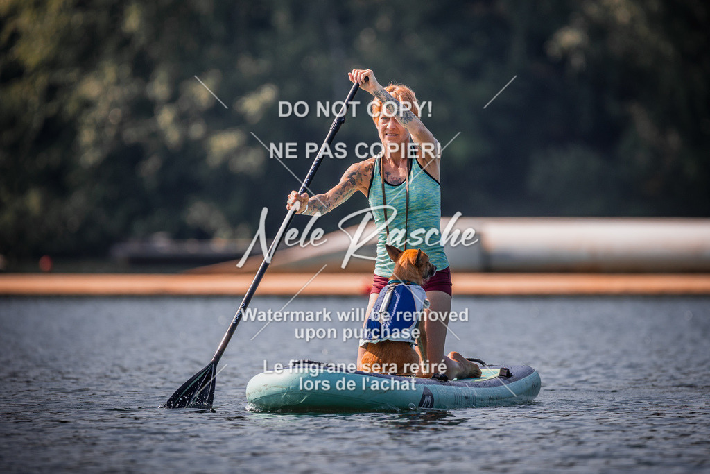 BUHU_SUP_213 | nelerasche