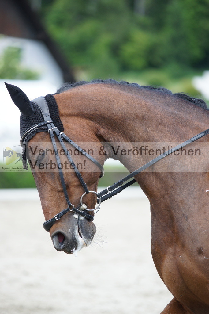 DSC05337 | equestrian-live-com