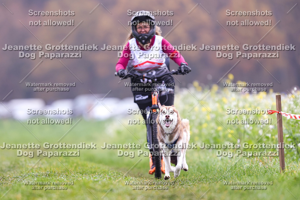 Dog Paparazzi - Visbeck 25 -329 | Dog Paparazzi Jeanette Grottendiek Fotografie & Videografie - Realisiert mit Pictrs.com