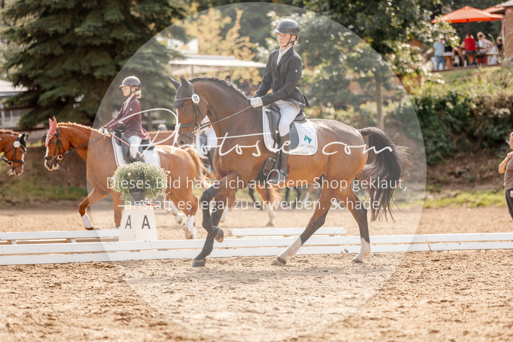 3I6A4285 | Stimmungsvolle Portraits und Reitsportfotografie im Ruhrgebiet und im Münsterland.

Pferdefotografie, Hundefotografie, Tierfotografie, Reportagen, Portraits von Tier und Mensch, Turnierfotografie in Bochum, Recklinghausen, Marl, Haltern am See, Dülmen.. - Realisiert mit Pictrs.com