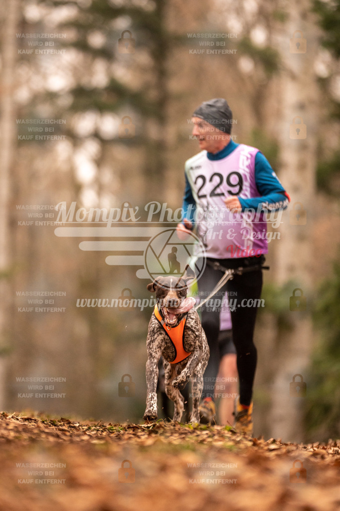AKM_ST_2023_SAM_Run-73 | PayLife