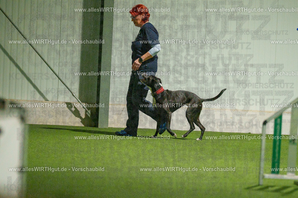 7R507401 | Professionelle Tierfotografie in Mönchengladbach von Daniel Wirth (allesWIRTHgut). Liebevolle & natürliche Bilder von Hunden & Katzen für unvergessliche Erinnerungen.