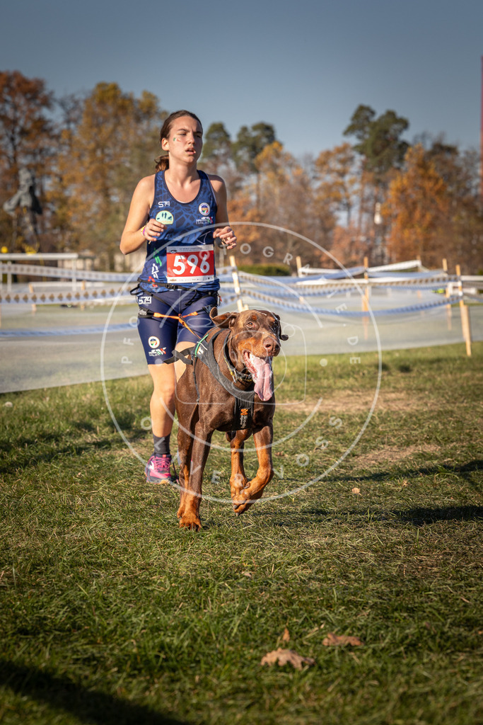 CaniXpix_0L8A8488 | Hundefotografie, Tierfotograf, Pfotenfotografie, Fotoshooting Hund, Hunde Portrait, Hundesport, Hundeportraits, Heideshooting, Hunde, Sportfotograf, Hundefotograf, Turnierhundsport, THS,  - Realisiert mit Pictrs.com