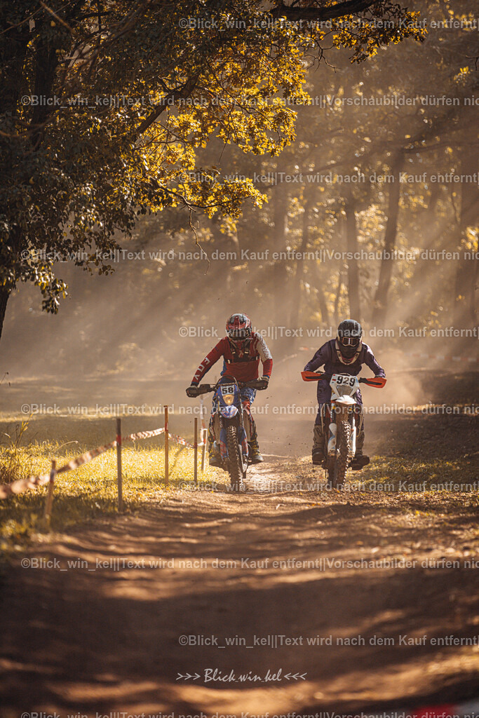 E68A5984 | blick_win_kel