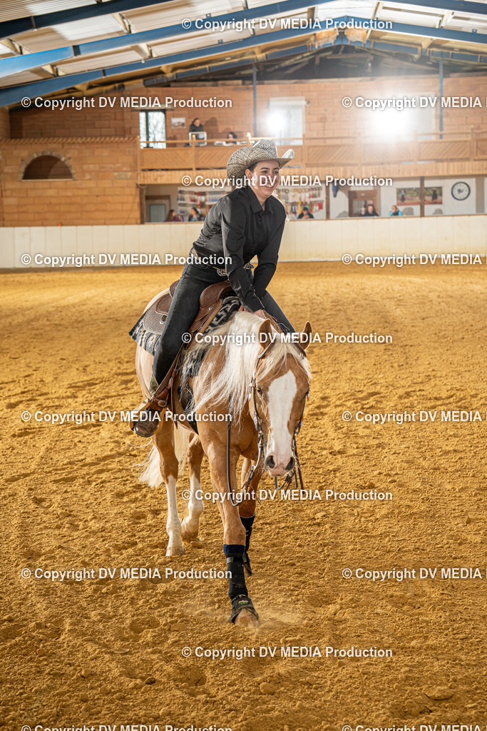 MIT00689 | dv-media-shop - Realisiert mit Pictrs.com