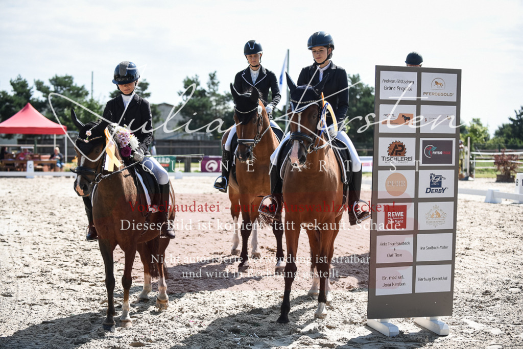 DSC_8764 | Pferde- und Turnierfotografie in Westsachsen. Pferdeportraits, Auftragszeichnungen und intuitive Kunst.