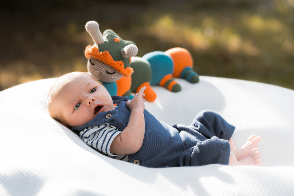 ZD260823180251 | Fotoshop von zweidimensional Fotografie. Ihr Fotograf im Aargau. Abzüge von Ihrem Fotobox Event bestellen.Abzüge von Ihrem Hochzeit bestellen.Abzüge von Ihrem Schulfotograf bestellen.