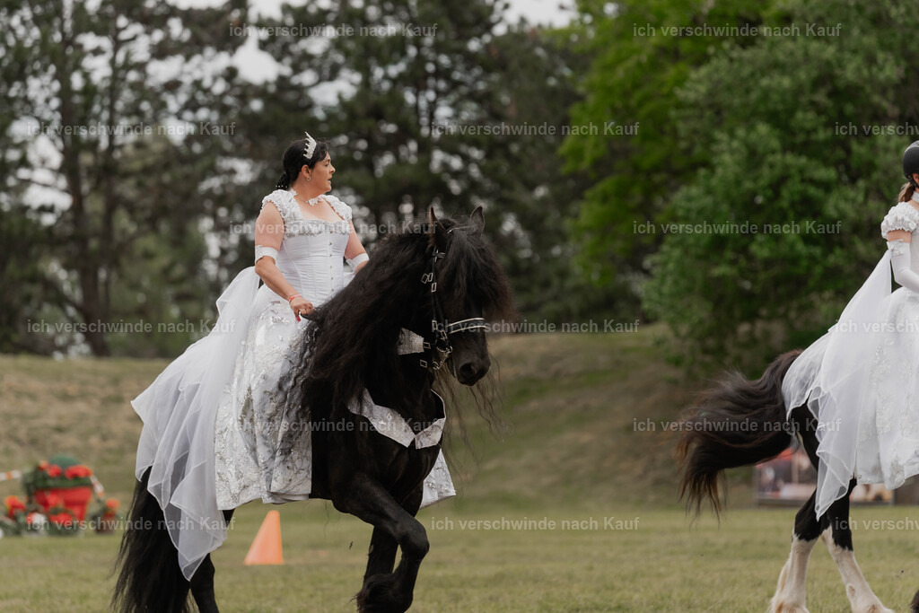Showprogramm-299 | working equitationturnier fotograf videograf stoibphotography marixx film working equitation deutschland reitsport turnierfotografie eventfotografie equestrian events